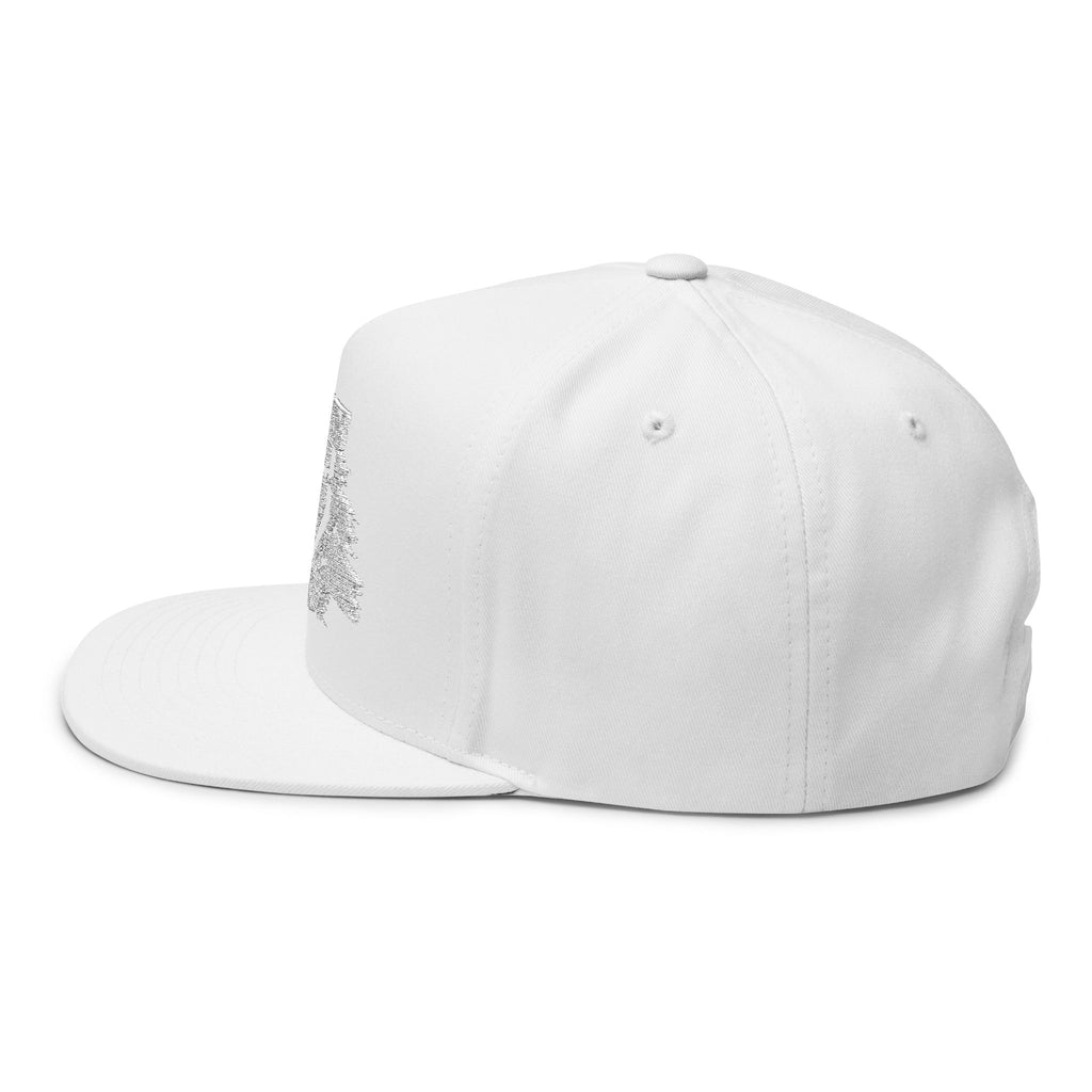 VIINRITI Embroidered Nevada Outline Flat Bill Cap – Distressed State Logo Snapback