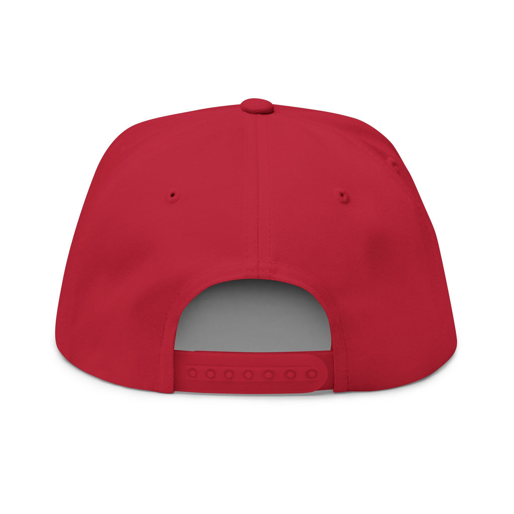 VIINRITI Embroidered Nevada Outline Flat Bill Cap – Distressed State Logo Snapback