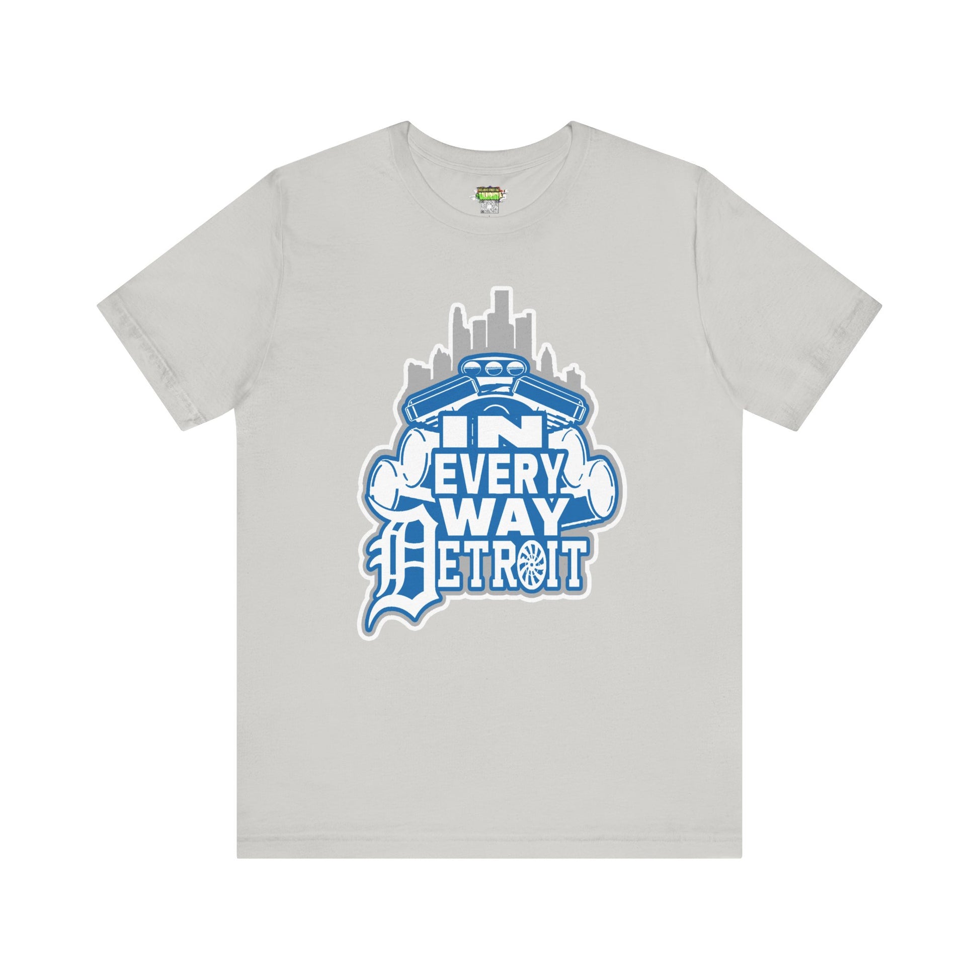 In every way detroit Lions Color tee