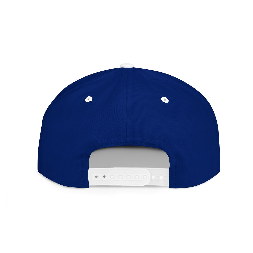 BIG PIPES 313 detroit Flat Bill Snapback