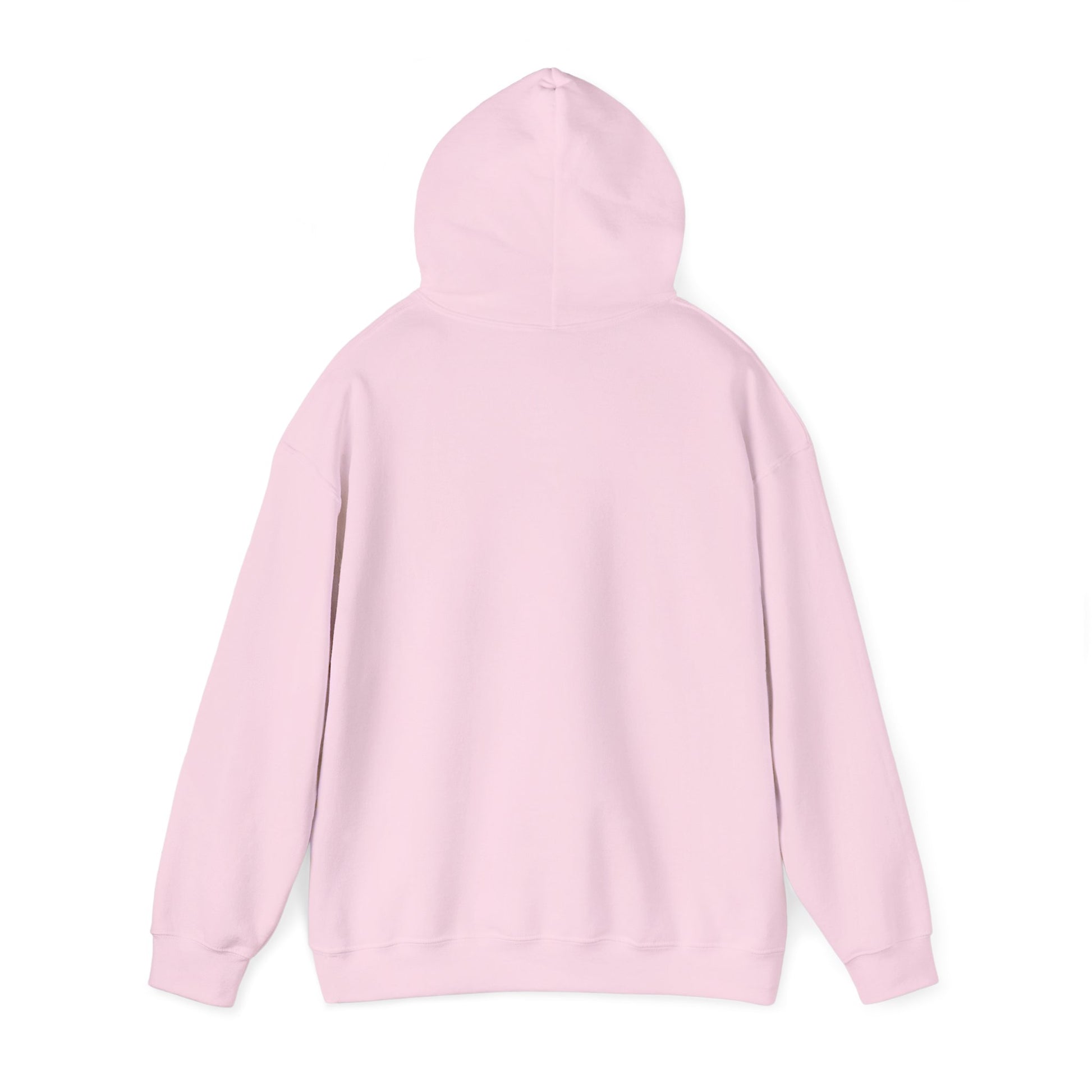 Live Life Dino Hoodie — Cute Retro Cartoon T-Rex Graphic Sweatshirt