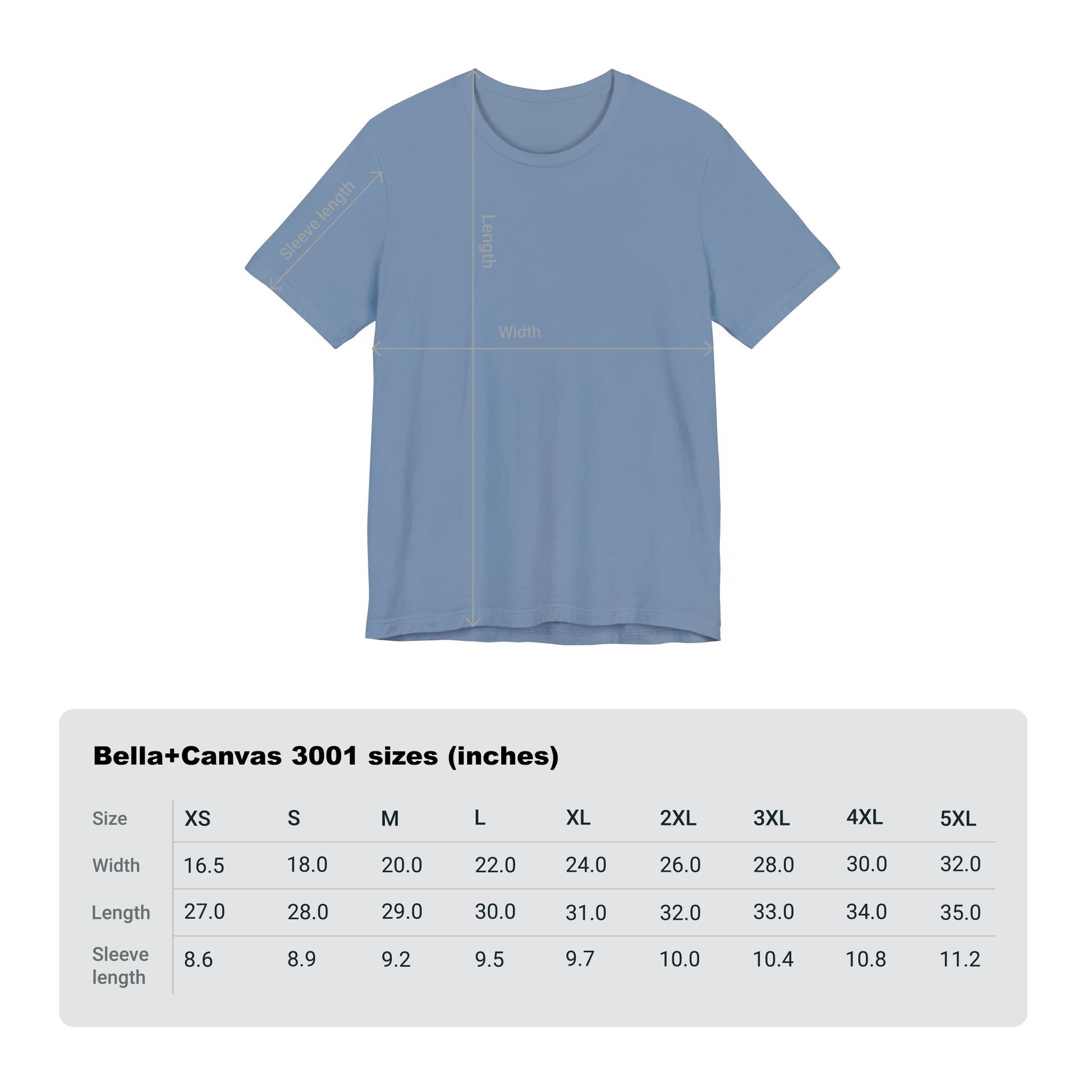 LION COLOR DETROIT 313 FOOT BALL SHIRT