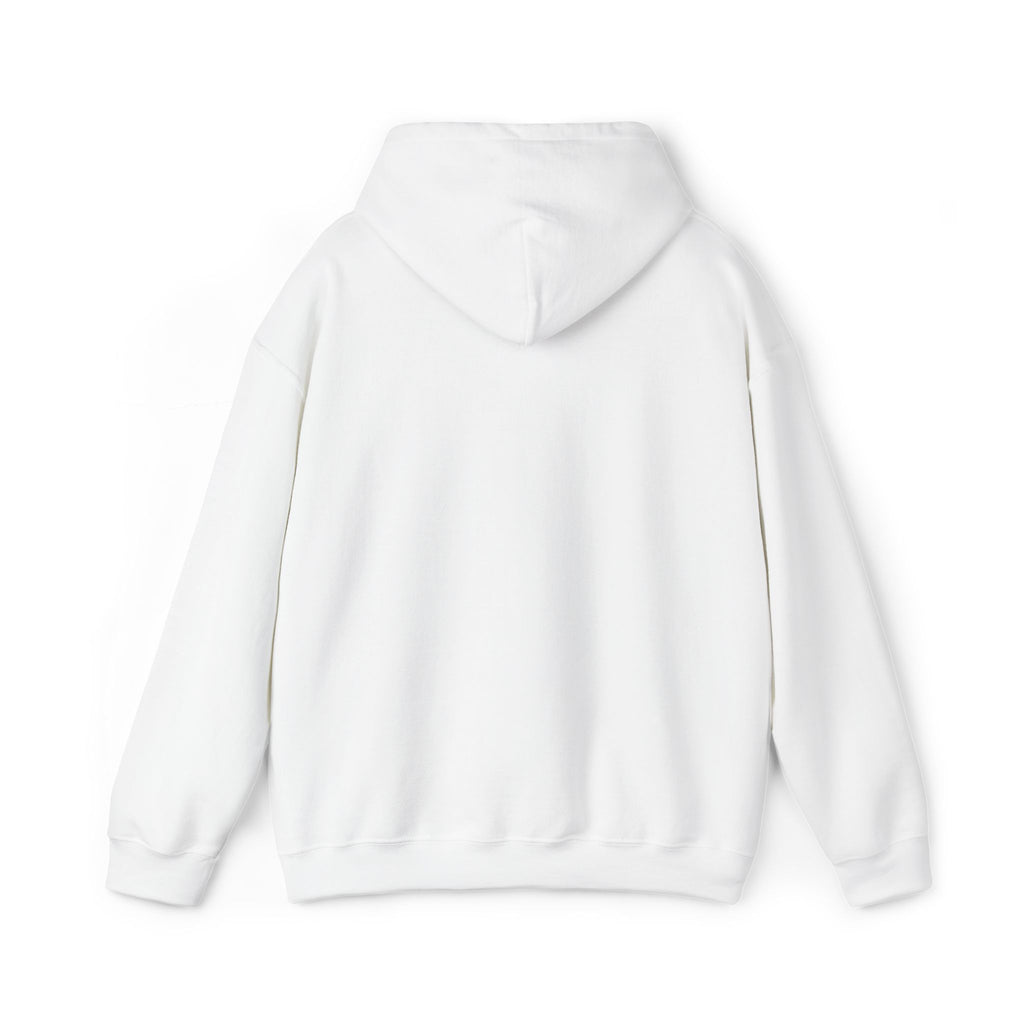 VIINRITI Exclusive Hoodie — Grunge Script 'United' Brick Wall Graphic