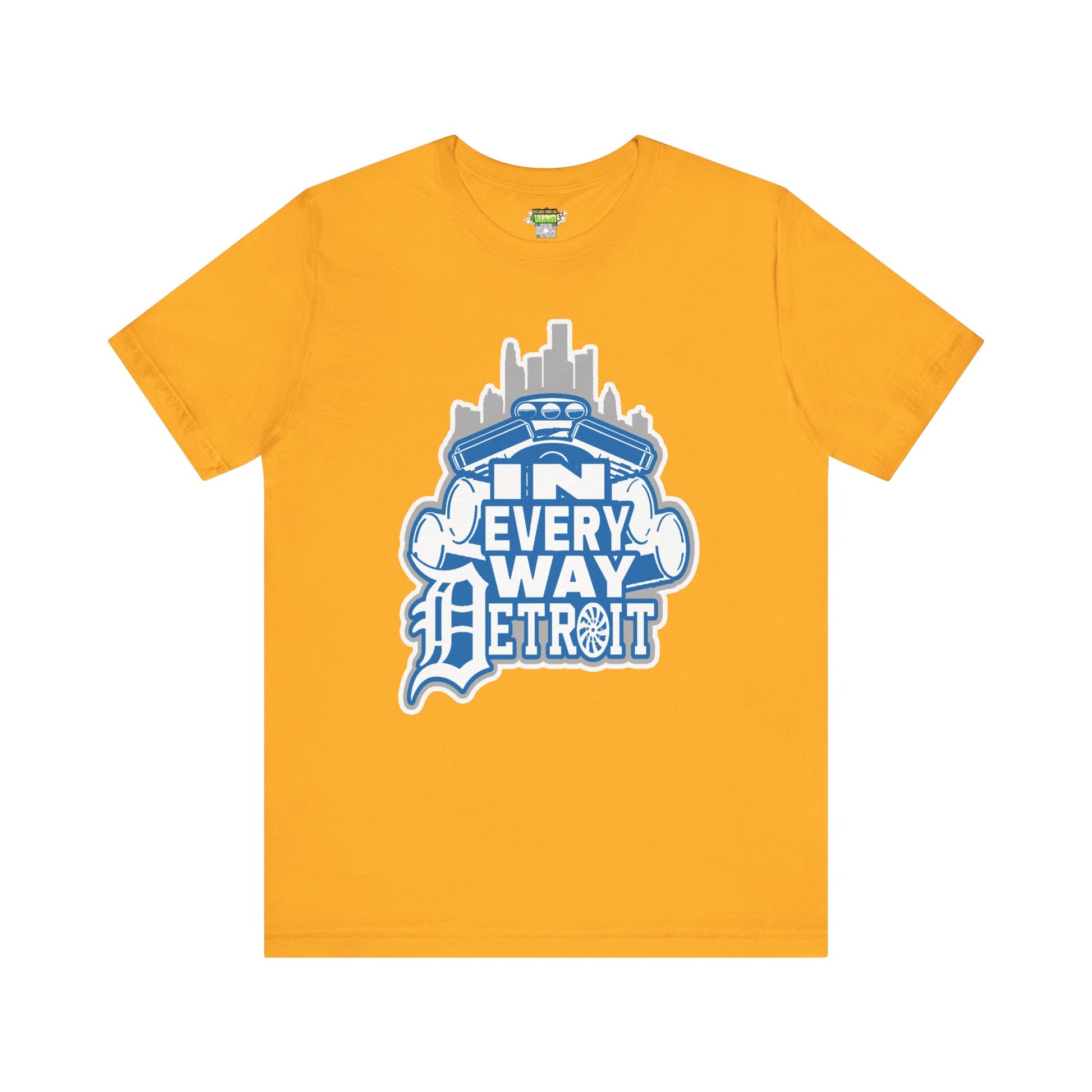 In every way detroit Lions Color tee