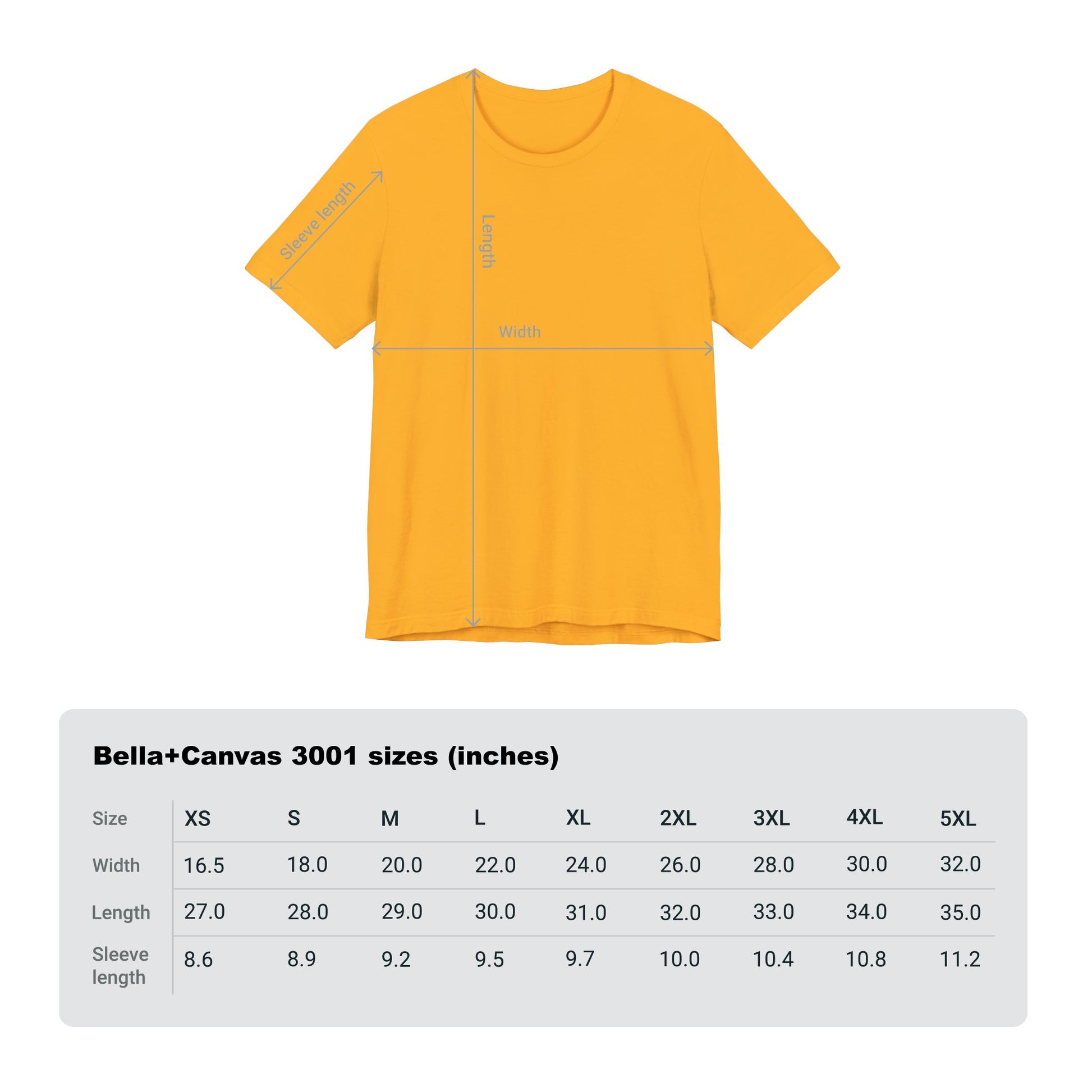 LION COLOR DETROIT 313 FOOT BALL SHIRT