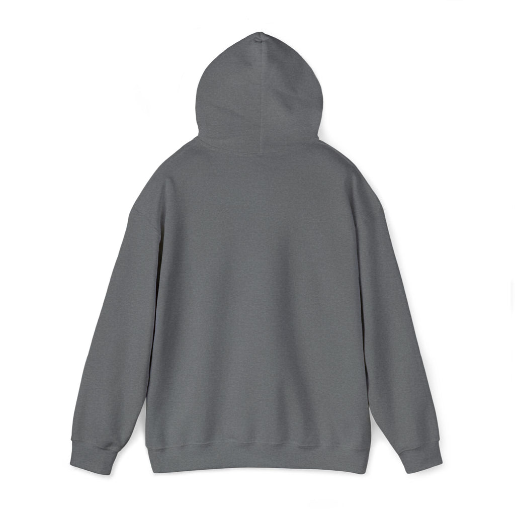 VIINRITI Exclusive Hoodie — Grunge Script 'United' Brick Wall Graphic