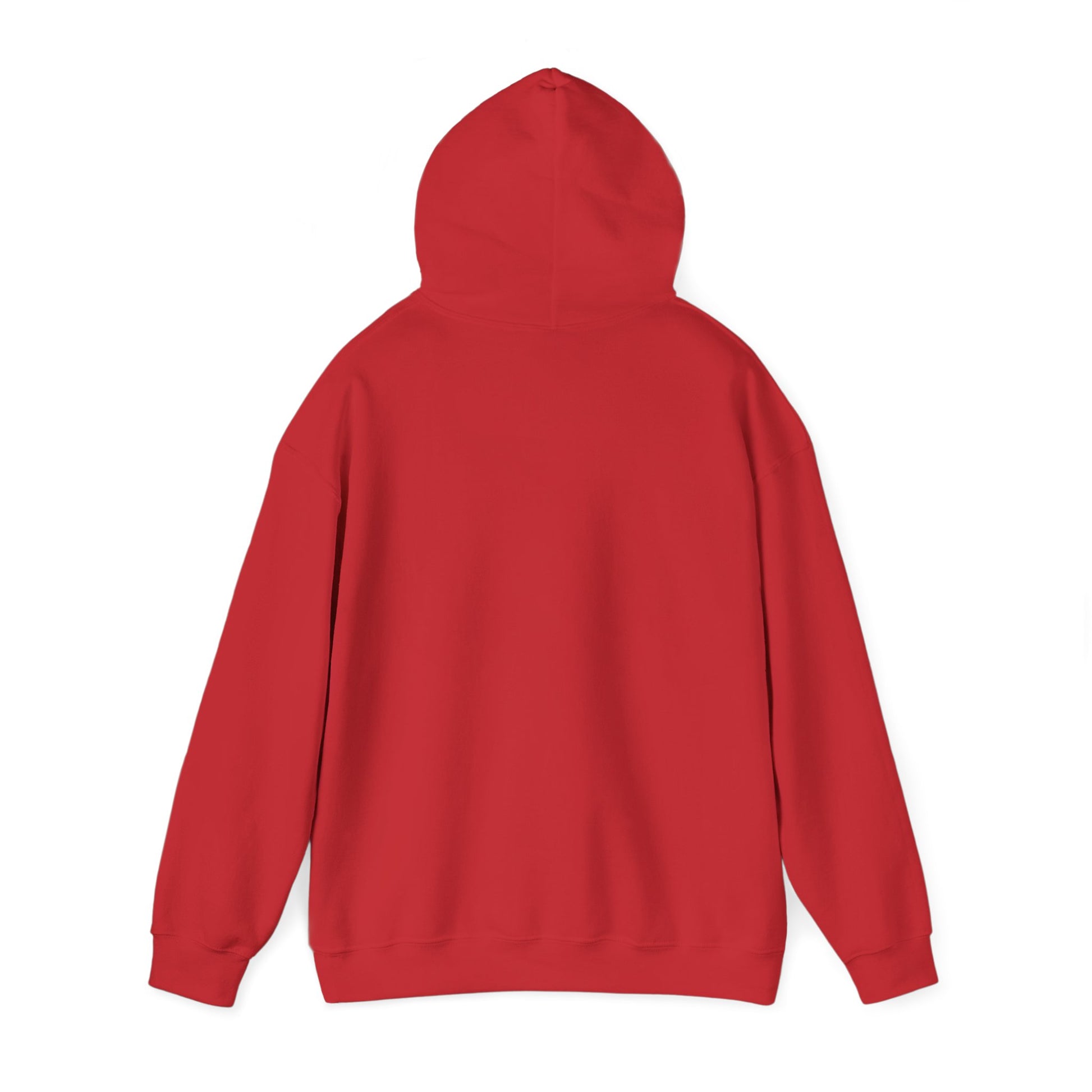 Live Life Dino Hoodie — Cute Retro Cartoon T-Rex Graphic Sweatshirt