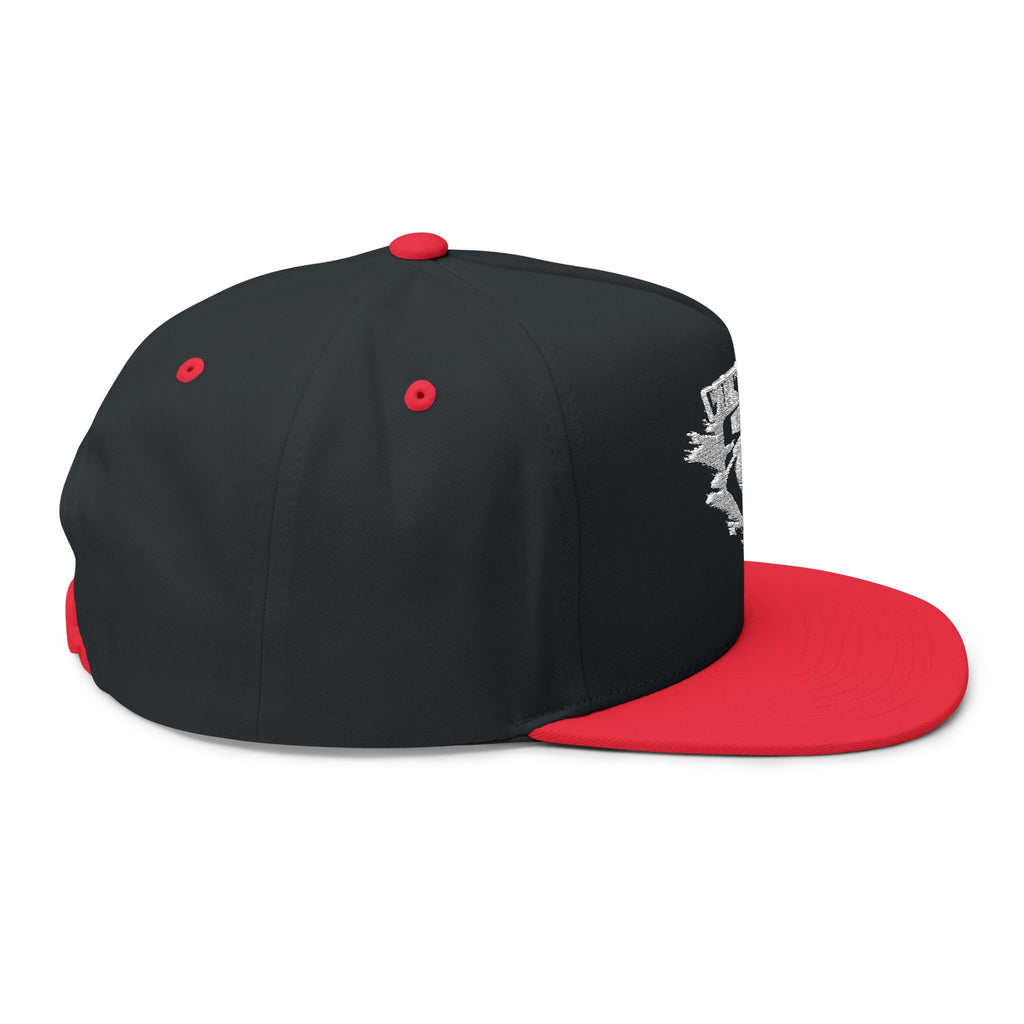 VIINRITI Embroidered Nevada Outline Flat Bill Cap – Distressed State Logo Snapback