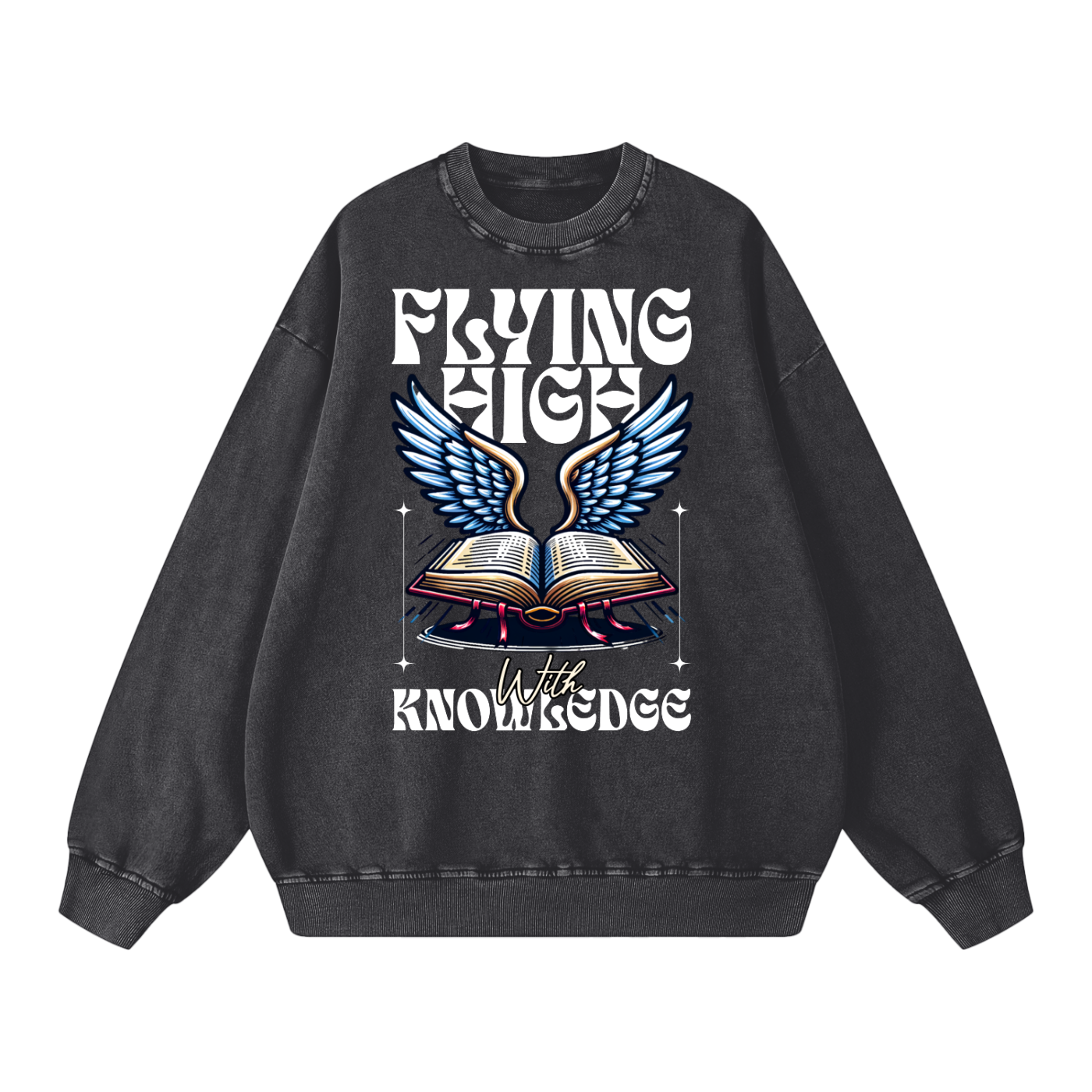 "Flying High With Knowledge Snow Washed Oversized Sweatshirt